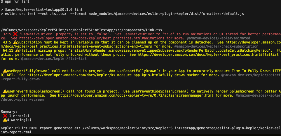 The image shows command prompt output after running the linter